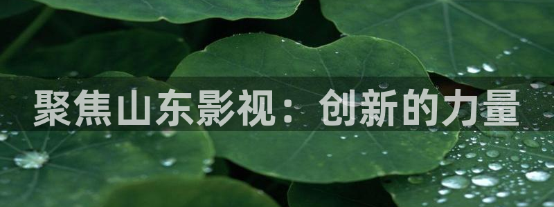 桔子免费视频：聚焦山东影视：创新的力量