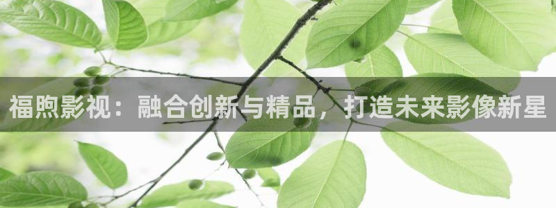桔子图片下载：福煦影视：融合创新与精品，打造未来影像新星