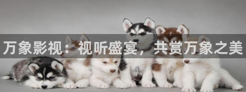 桔子的视频：万象影视：视听盛宴，共赏万象之美