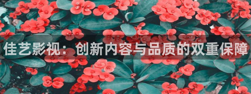 桔子一tv：佳艺影视：创新内容与品质的双重保障