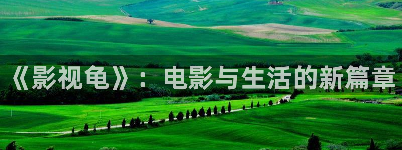 桔子动画搞笑视频：《影视龟》：电影与生活的新篇章