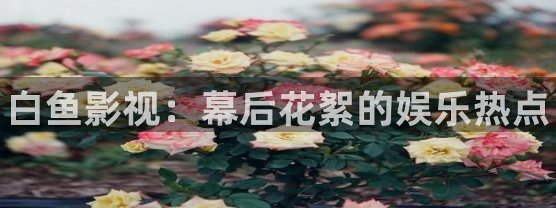 冰糖桔子的做法视频：白鱼影视：幕后花絮的娱乐热点