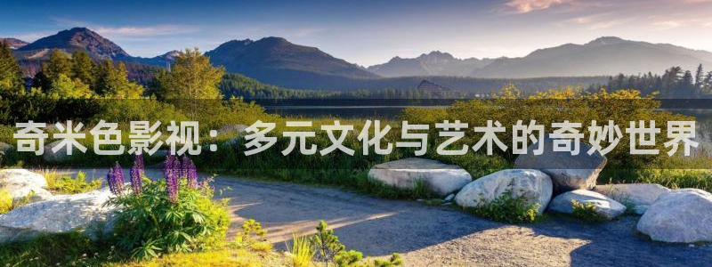 桔子培训：奇米色影视：多元文化与艺术的奇妙世界