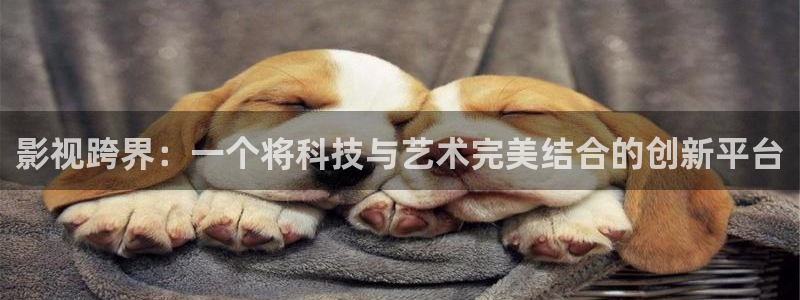 桔子图片大全大图：影视跨界：一个将科技与艺术完美结合的创新平台