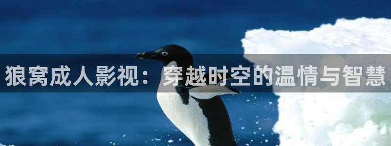 桔子网电影：狼窝成人影视：穿越时空的温情与智慧