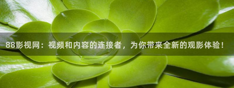 桔子在线视频观看：88影视网：视频和内容的连接者，为你带来全新的观影体验！